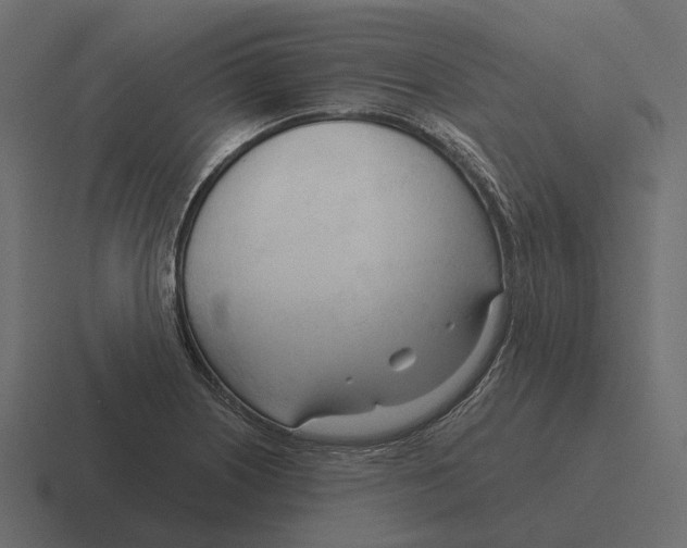 X0000116341226200912291606