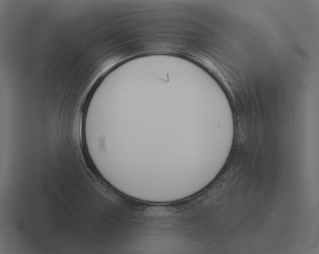 X0000116341227200912291606