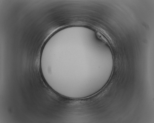 X0000116341228200912291606