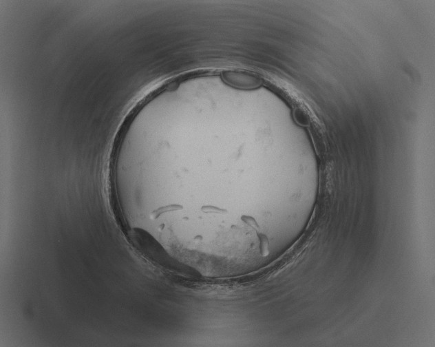 X0000116341229200912291606