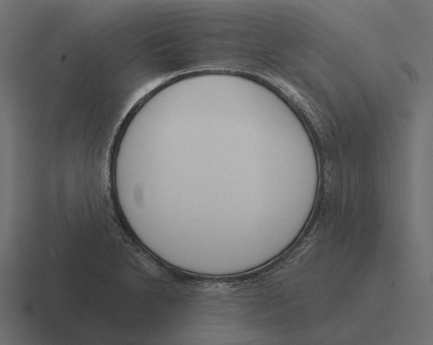 X0000116341230200912291606