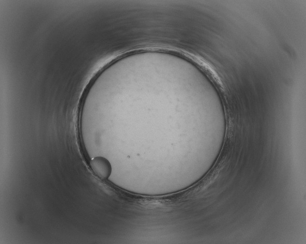 X0000116341231200912291606