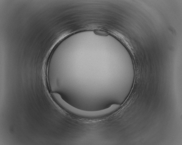 X0000116341235200912291606