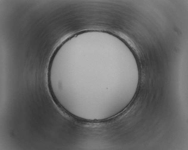 X0000116341237200912291606