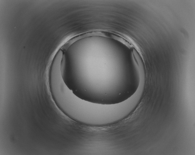 X0000116341243200912291606