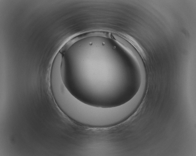 X0000116341244200912291606