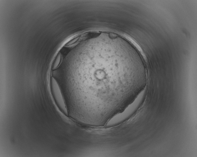 X0000116341245200912291606