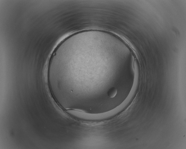 X0000116341246200912291606