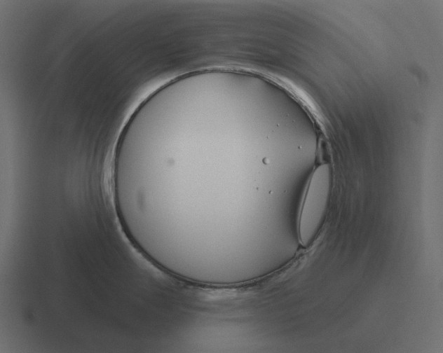 X0000116341247200912291606