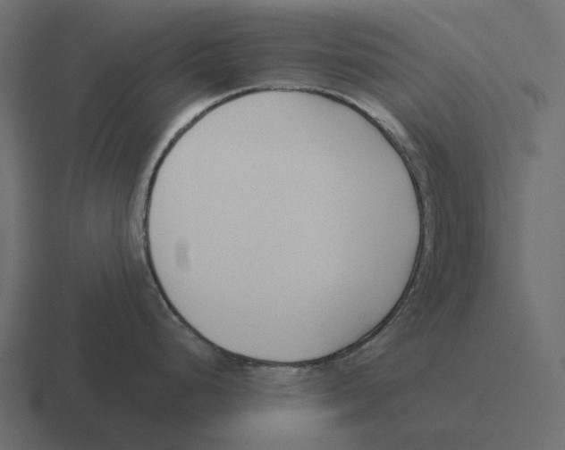 X0000116341248200912291606