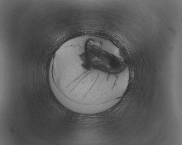 X0000116341252200912291605