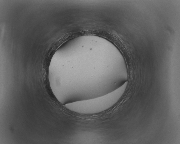 X0000116341253200912291605