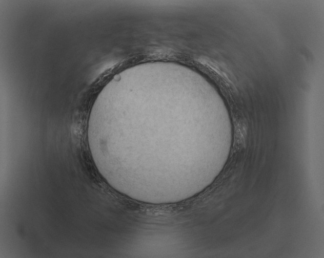 X0000116341254200912291605