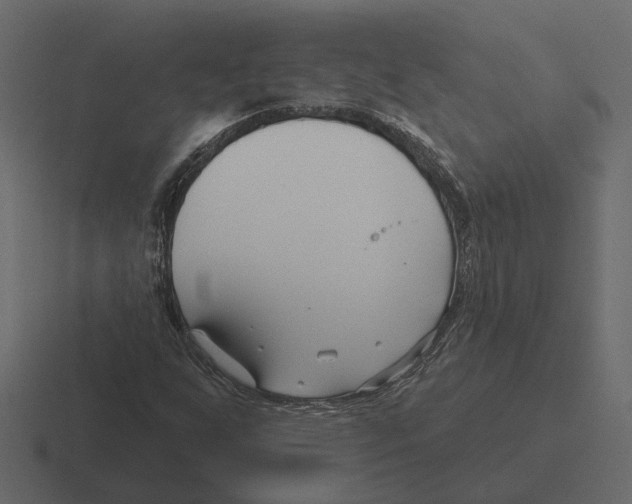 X0000116341255200912291605