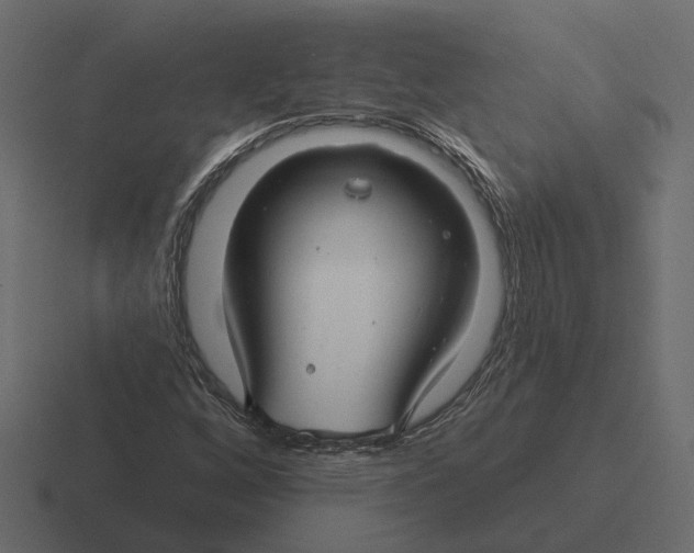 X0000116341256200912291605