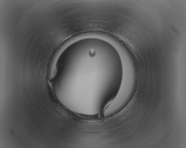 X0000116341257200912291605