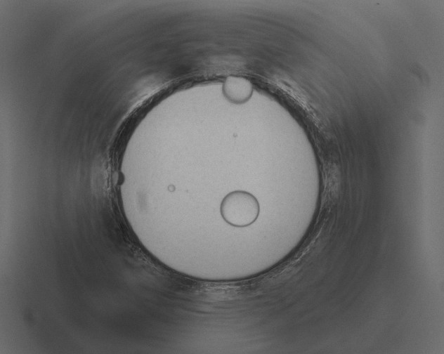 X0000116341258200912291605