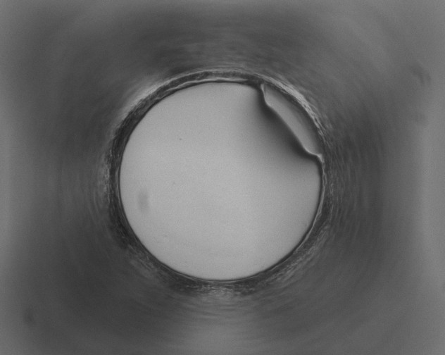 X0000116341263200912291605