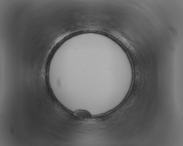 X0000116341264200912291605