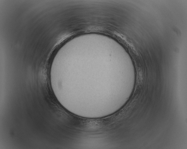 X0000116341266200912291605