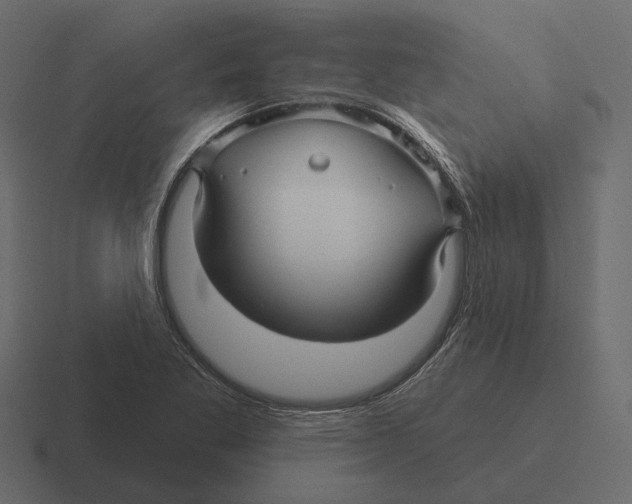 X0000116341269200912291605