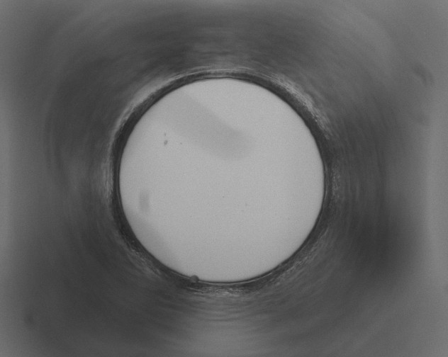 X0000116341270200912291605