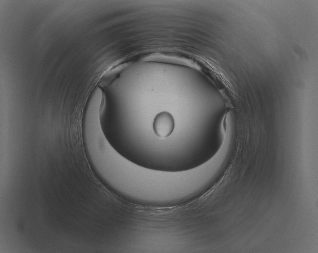 X0000116341273200912291605