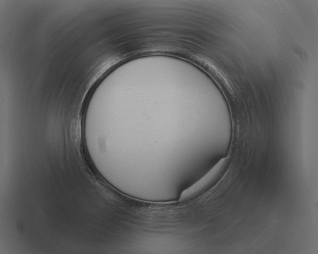 X0000116341274200912291605