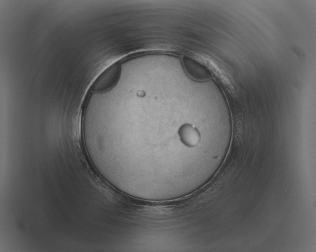 X0000116341276200912291605