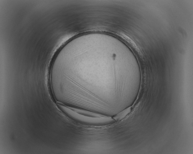 X0000116341277200912291605