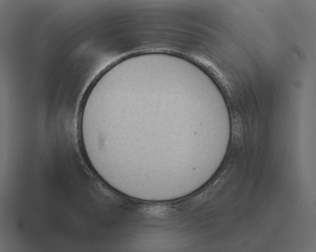 X0000116341278200912291605