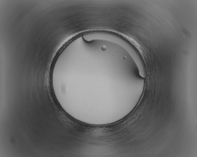 X0000116341279200912291605