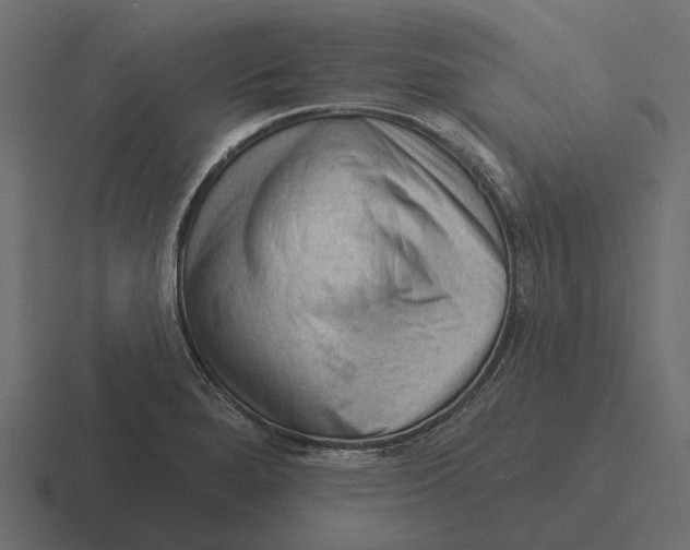 X0000116341280200912291605