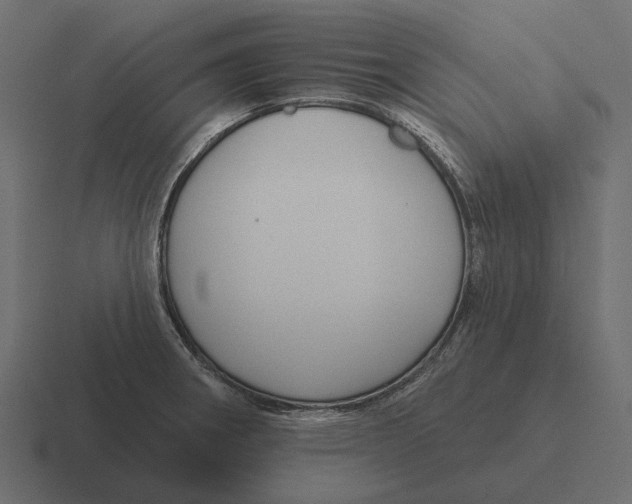 X0000116341282200912291605