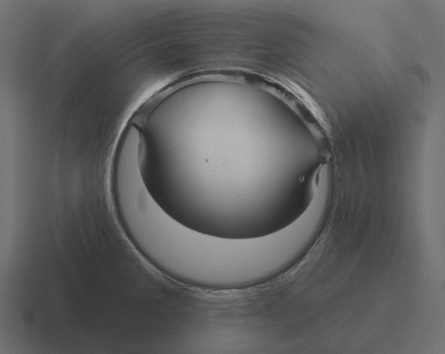 X0000116341285200912291605