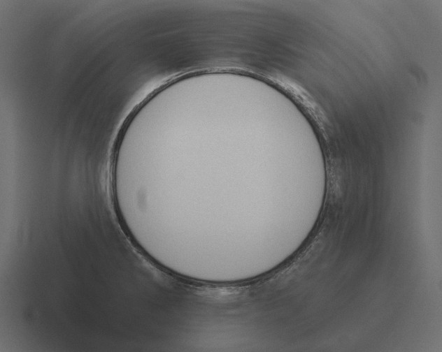 X0000116341286200912291605