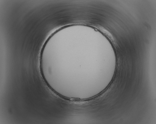 X0000116341288200912291605