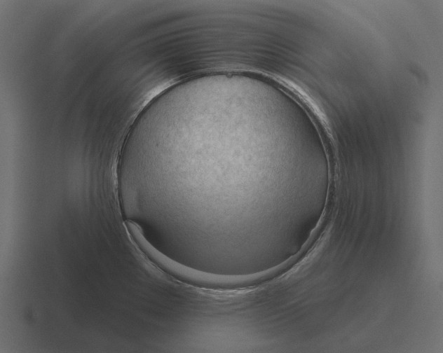 X0000116341289200912291605