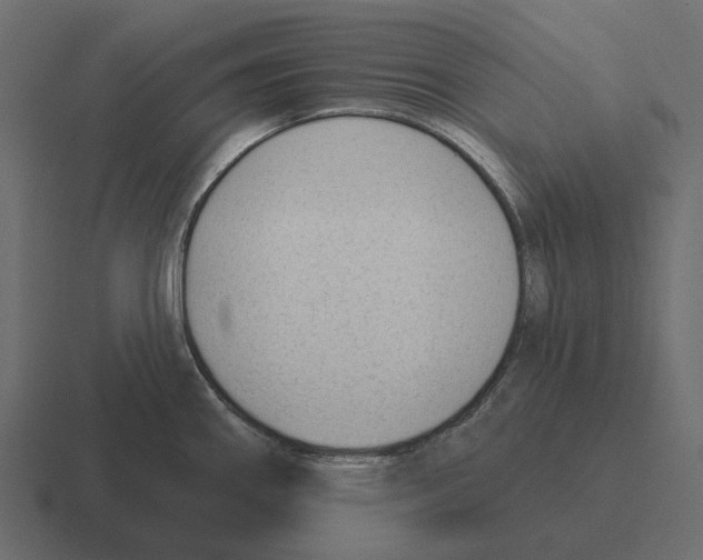 X0000116341290200912291605