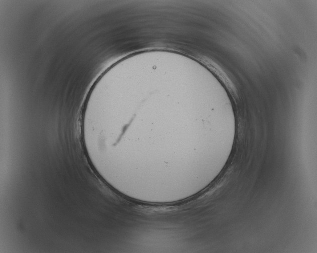 X0000116341292200912291605