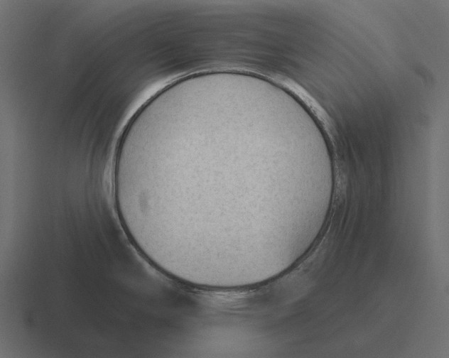 X0000116341294200912291605