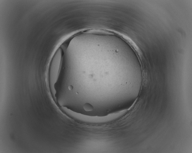 X0000116341295200912291605