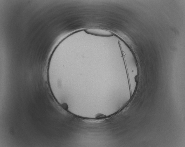 X0000116341296200912291605