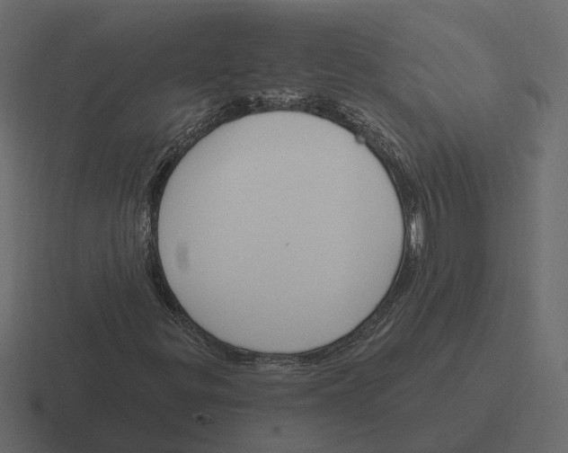 X0000116341299200912291604