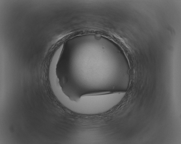 X0000116341303200912291604