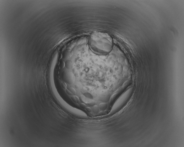 X0000116341305200912291604