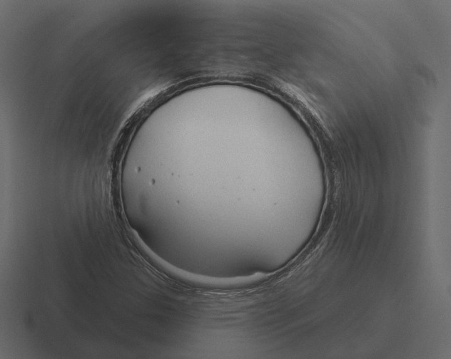 X0000116341307200912291604