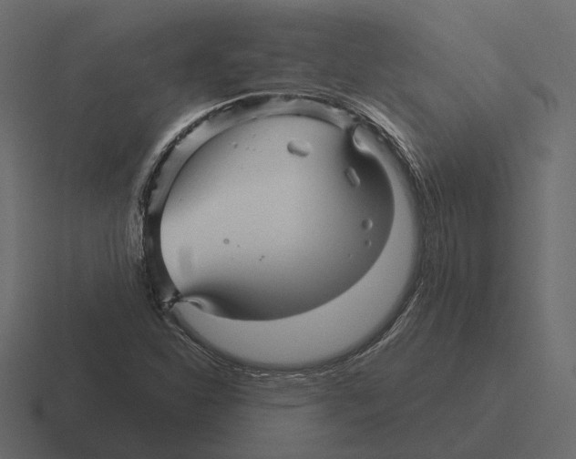 X0000116341310200912291604