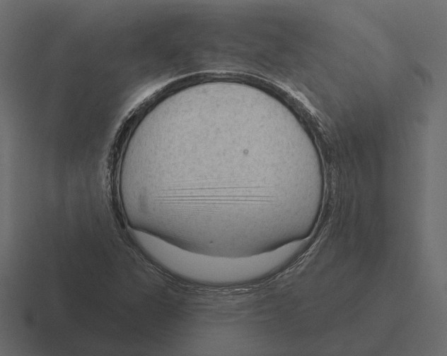 X0000116341311200912291604