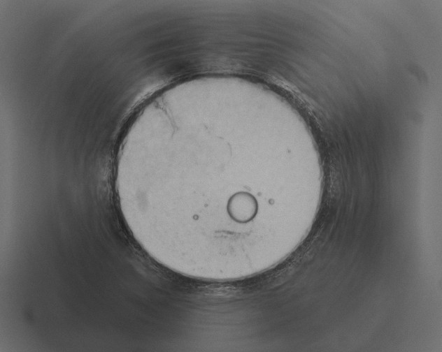 X0000116341314200912291604